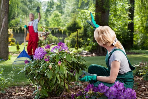 Garden care introduction in Winchmore Hill