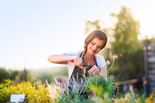 Professional lawn mowing in Winchmore Hill on a tidy residential garden