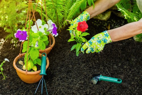 Reviewing health and safety practices for professional gardeners