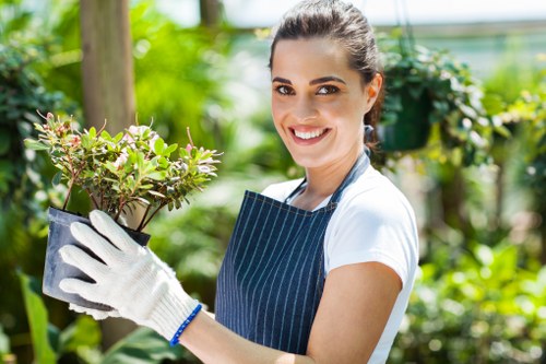 Winchmore Hill patio cleaning service improving garden paving
