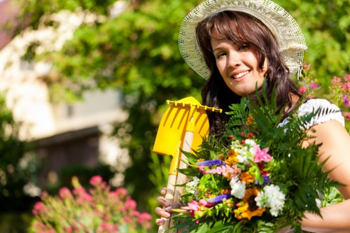 Professional hedge trimming in a Winchmore Hill garden