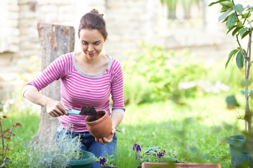 Professional garden maintenance and lawn care in Winchmore Hill