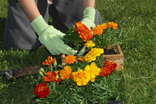 Seasonal lawn mowing service keeping a garden healthy in Winchmore Hill