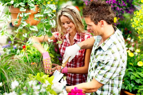 Annual review and continuous improvement image for Winchmore Hill gardeners