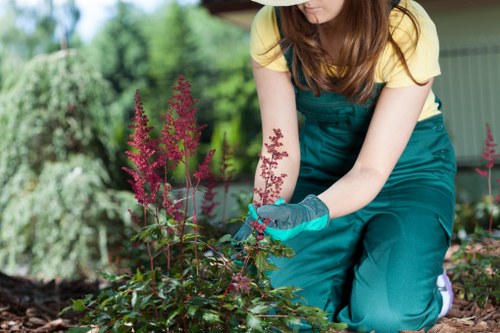 Sustainable gardening practices supporting Winchmore Hill gardens