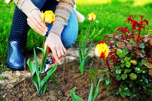 Charity reuse and garden materials partnership in the local area