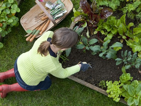 Communication and hazard awareness during garden work