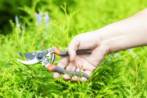 Professional lawn care services for a well-kept Winchmore Hill garden