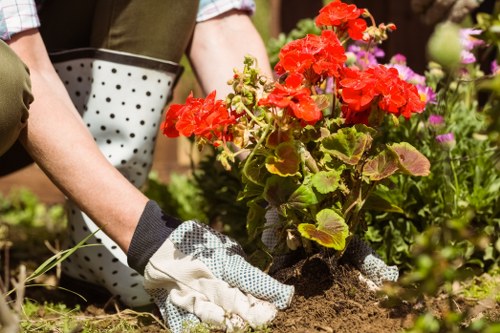 Escalated issue within a gardening complaints process