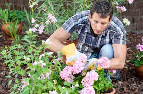 Screen-reader friendly content for local gardeners