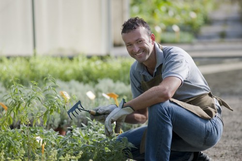 Professional outdoor space upkeep in a local garden