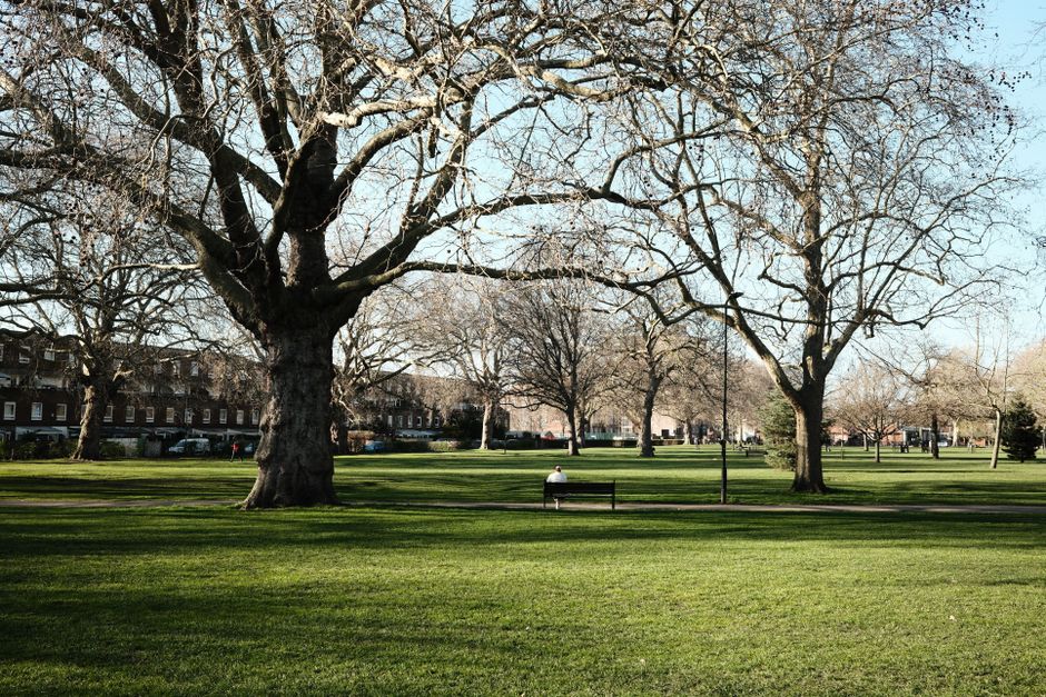 A spacious urban park featuring a well-maintained lawn with lush, green grass, bordered by a variety of mature deciduous trees with large, textured trunks and sprawling branches that are mostly bare,
